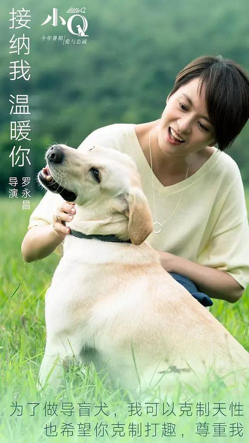 克罗地亚身份证怎么买到